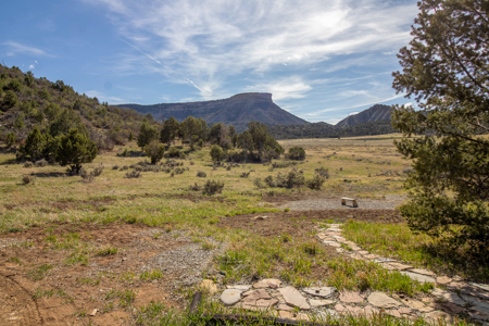 Build Your Dream Mountain Home Bordering Mesa Verde National Park - image 23