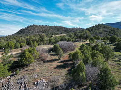 Build Your Dream Mountain Home Bordering Mesa Verde National Park - image 2