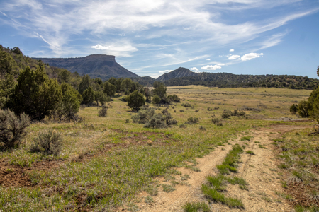Build Your Dream Mountain Home Bordering Mesa Verde National Park - image 26
