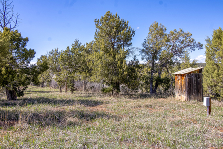 Build Your Dream Mountain Home Bordering Mesa Verde National Park - image 28