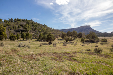 Build Your Dream Mountain Home Bordering Mesa Verde National Park - image 24