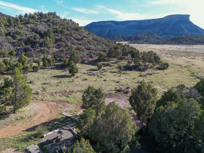Build Your Dream Mountain Home Bordering Mesa Verde National Park - image 15