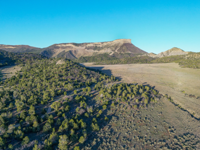 Build Your Dream Mountain Home Bordering Mesa Verde National Park - image 21