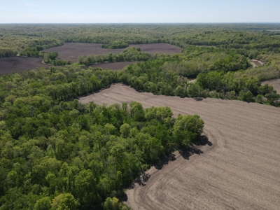 Prime Hunting and Investment Opportunity in Schuyler County MO - image 19