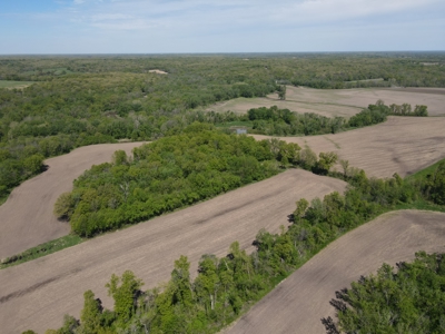 Prime Hunting and Investment Opportunity in Schuyler County MO - image 7