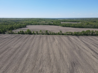 Prime Hunting and Investment Opportunity in Schuyler County MO - image 23