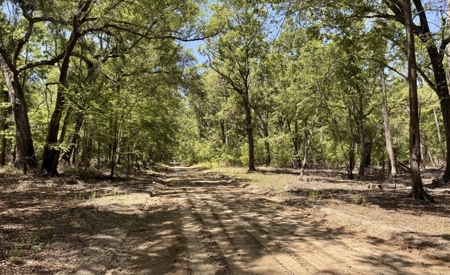 River Community Lot For Sale in O'Brien, Florida - image 12