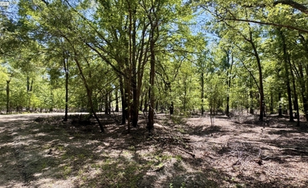 River Community Lot For Sale in O'Brien, Florida - image 2