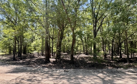 River Community Lot For Sale in O'Brien, Florida - image 7