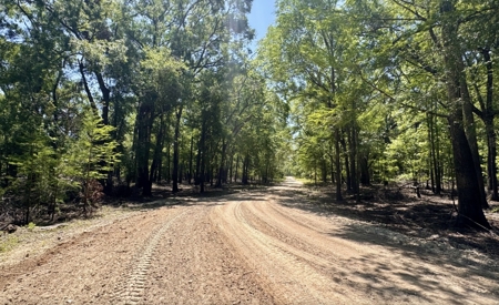 River Community Lot For Sale in O'Brien, Florida - image 10