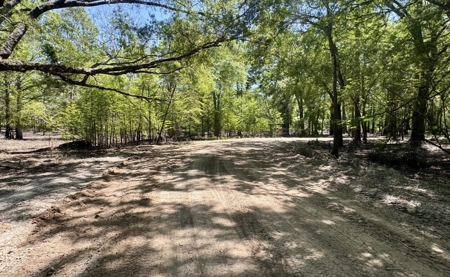 River Community Lot For Sale in O'Brien, Florida - image 11