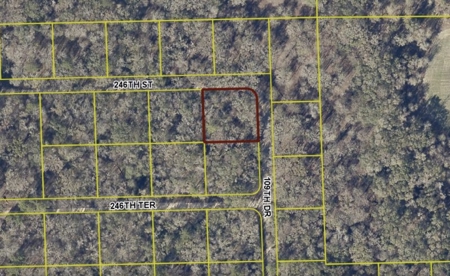 River Community Lot For Sale in O'Brien, Florida - image 8