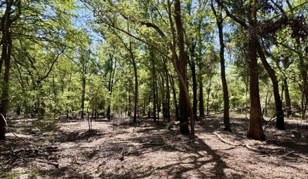 River Community Lot For Sale in O'Brien, Florida - image 1