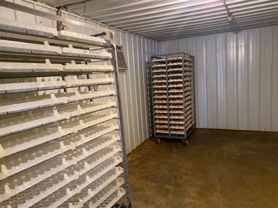 Poultry 4 House Breeder/Egg Farm for Sale Mississippi - image 25