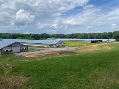 Poultry 4 House Breeder/Egg Farm for Sale Mississippi - image 1
