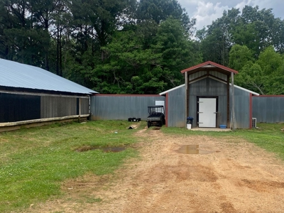 Poultry 4 House Breeder/Egg Farm for Sale Mississippi - image 9
