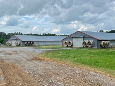 Poultry 4 House Breeder/Egg Farm for Sale Mississippi - image 32