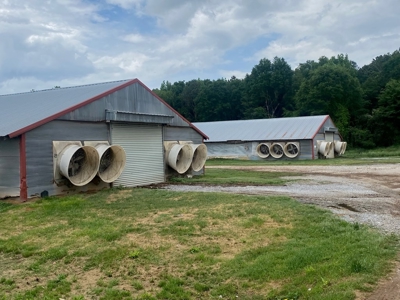 Poultry 4 House Breeder/Egg Farm for Sale Mississippi - image 11