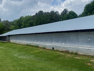 Poultry 4 House Breeder/Egg Farm for Sale Mississippi - image 7