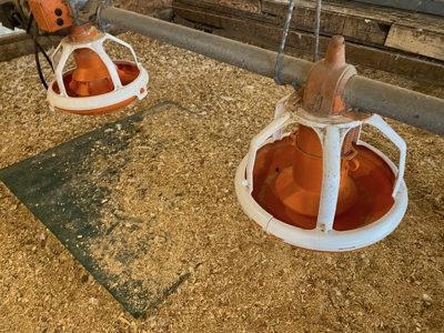 Poultry 4 House Breeder/Egg Farm for Sale Mississippi - image 24