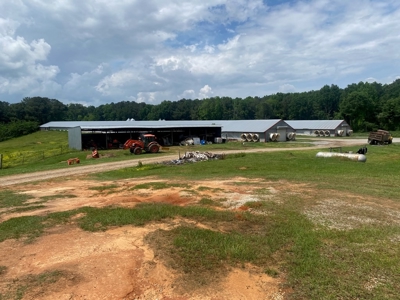 Poultry 4 House Breeder/Egg Farm for Sale Mississippi - image 3
