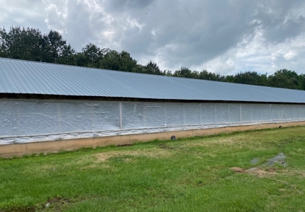 Poultry 4 House Breeder/Egg Farm for Sale Mississippi - image 29