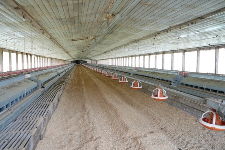 Poultry 4 House Breeder/Egg Farm for Sale Mississippi - image 33