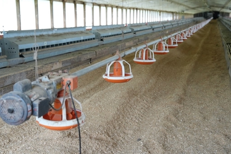 Poultry 4 House Breeder/Egg Farm for Sale Mississippi - image 34