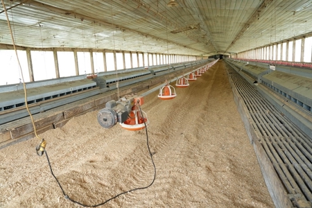 Poultry 4 House Breeder/Egg Farm for Sale Mississippi - image 35