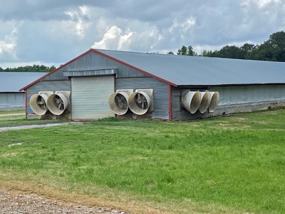 Poultry 4 House Breeder/Egg Farm for Sale Mississippi - image 31