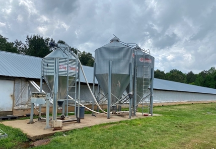 Poultry 4 House Breeder/Egg Farm for Sale Mississippi - image 30