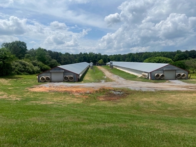 Poultry 4 House Breeder/Egg Farm for Sale Mississippi - image 2