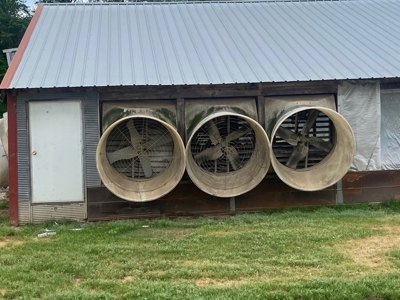 Poultry 4 House Breeder/Egg Farm for Sale Mississippi - image 14