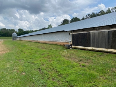 Poultry 4 House Breeder/Egg Farm for Sale Mississippi - image 16