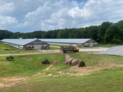 Poultry 4 House Breeder/Egg Farm for Sale Mississippi - image 5