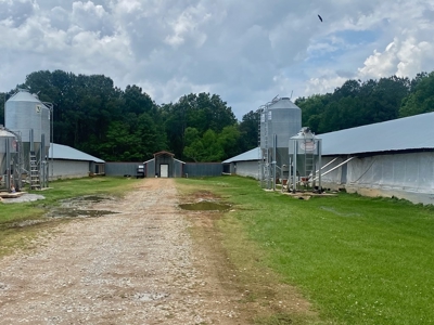 Poultry 4 House Breeder/Egg Farm for Sale Mississippi - image 10