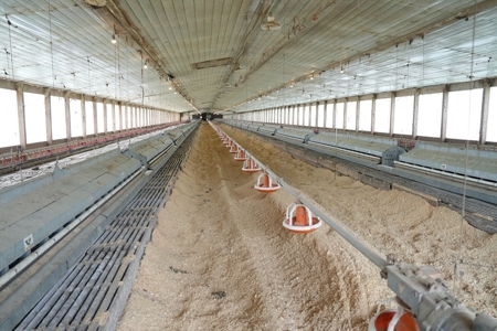 Poultry 4 House Breeder/Egg Farm for Sale Mississippi - image 36