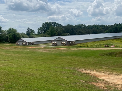 Poultry 4 House Breeder/Egg Farm for Sale Mississippi - image 6
