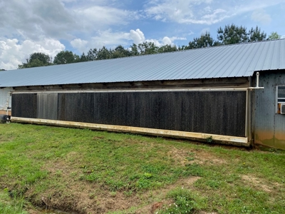 Poultry 4 House Breeder/Egg Farm for Sale Mississippi - image 17