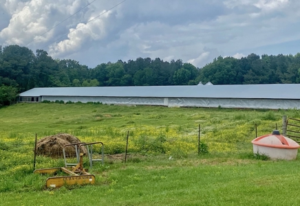 Poultry 4 House Breeder/Egg Farm for Sale Mississippi - image 13
