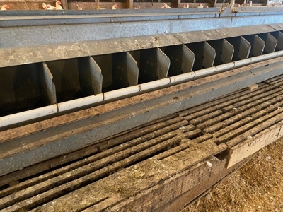 Poultry 4 House Breeder/Egg Farm for Sale Mississippi - image 22