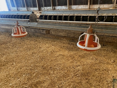 Poultry 4 House Breeder/Egg Farm for Sale Mississippi - image 21
