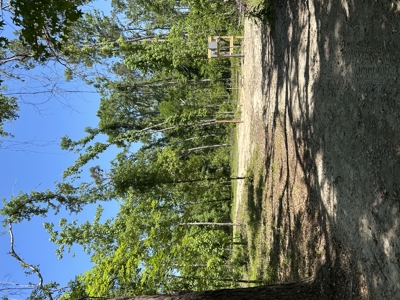 Four Acres Plus Utilities & Rv Hookup For Sale In Jasper, Fl - image 15