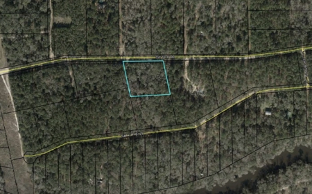 Four Acres Plus Utilities & Rv Hookup For Sale In Jasper, Fl - image 25