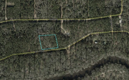 Four Acres Plus Utilities & Rv Hookup For Sale In Jasper, Fl - image 24