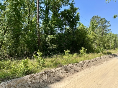 Four Acres Plus Utilities & Rv Hookup For Sale In Jasper, Fl - image 4