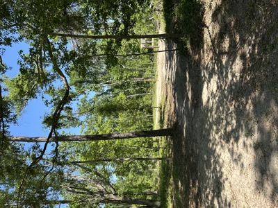 Four Acres Plus Utilities & Rv Hookup For Sale In Jasper, Fl - image 14