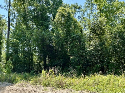 Four Acres Plus Utilities & Rv Hookup For Sale In Jasper, Fl - image 2