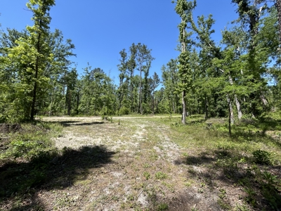 Four Acres Plus Utilities & Rv Hookup For Sale In Jasper, Fl - image 1