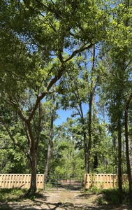 Four Acres Plus Utilities & Rv Hookup For Sale In Jasper, Fl - image 7
